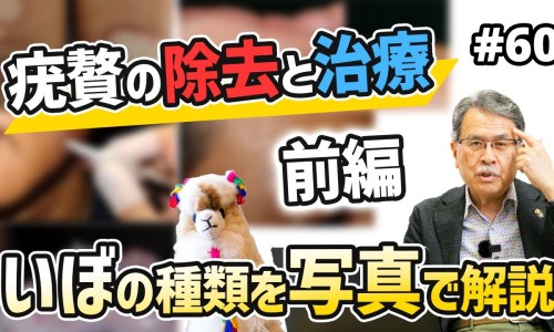 白薇的功效与作用中药查询网-白薇的功效主治是什么、白薇的功效与作用及禁忌是什么 -白薇图片和功效和作用网